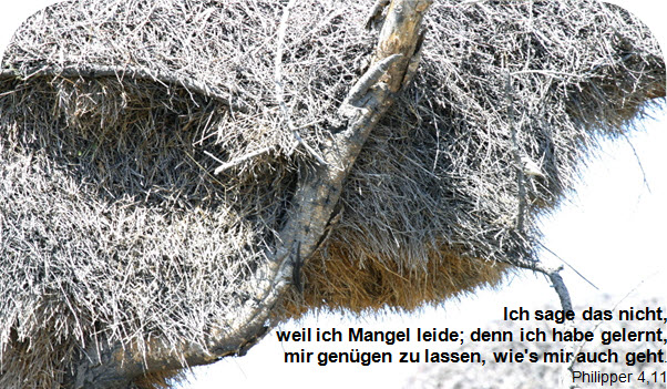 Gen&uuml;ge Dir in Jesus, so hast Du immer genug